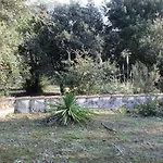 Villa Situation Au Calme, A 300m De La Spo000-189 La Cotinière