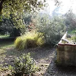 Situation Au Calme, A 300m De La Spo000-189 La Cotinière