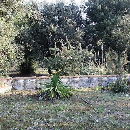 Willa Situation Au Calme, A 300m De La Spo000-189 La Cotinière