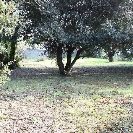 Situation Au Calme, A 300m De La Spo000-189