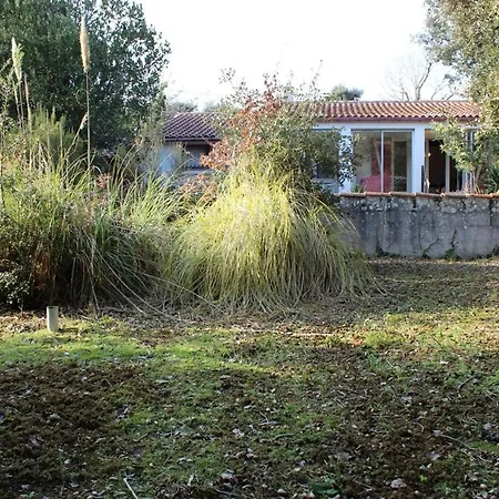 Situation Au Calme, A 300m De La Spo000-189 La Cotinière