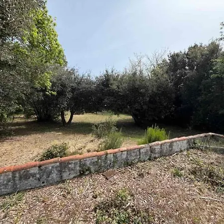Villa Situation Au Calme, A 300m De La Spo000-189 La Cotiniere
